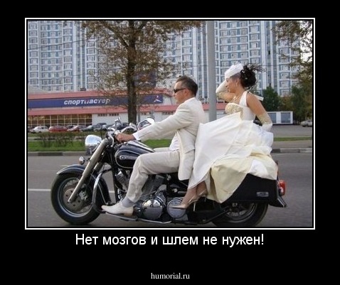 Нет мозгов и шлем не нужен!