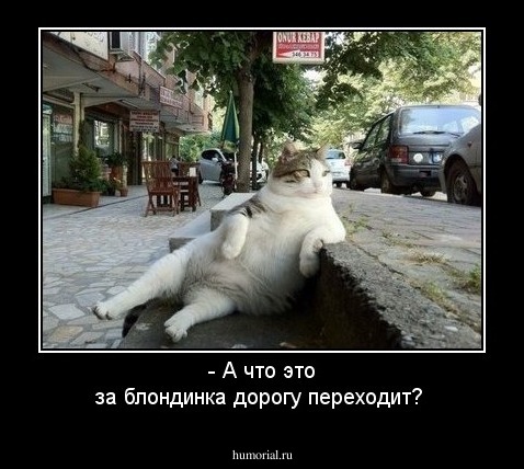  - А что это за блондинка дорогу переходит?