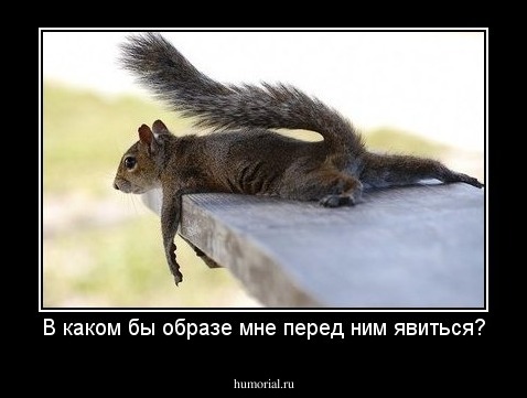 В каком бы образе мне перед ним явиться?