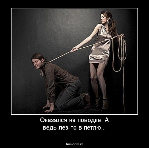 Оказался на поводке. А ведь лез-то в петлю..