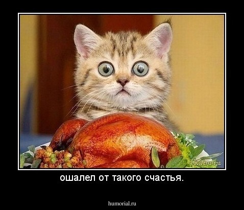 ошалел от такого счастья.
