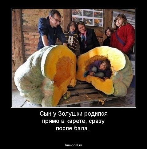  Сын у Золушки родился прямо в карете, сразу после бала.