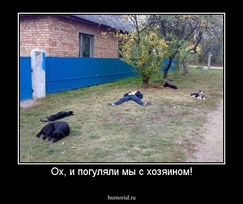 Ох, и погуляли мы с хозяином!