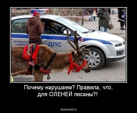 Почему нарушаем? Правила, что, для ОЛЕНЕЙ писаны?!