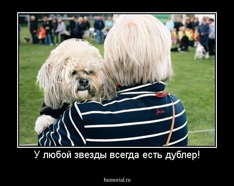 У любой звезды всегда есть дублер!