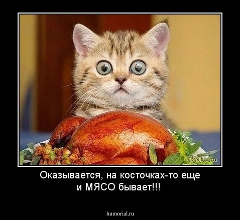 Оказывается, на косточках-то еще и МЯСО бывает!!!