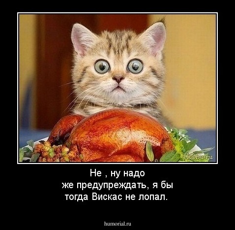 Не , ну надо же предупреждать, я бы тогда  Вискас не лопал.