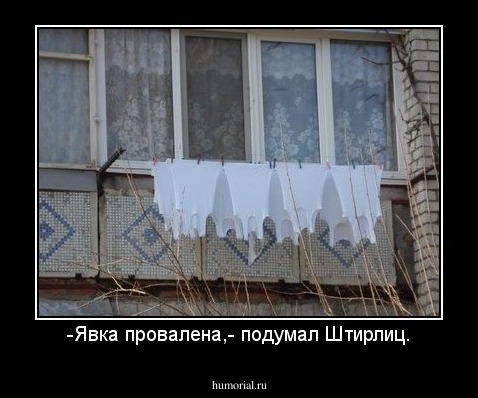 -Явка провалена,- подумал Штирлиц.