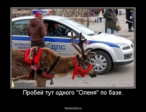 Пробей тут одного "Оленя" по базе.