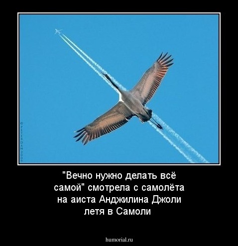 "Вечно нужно делать всё самой" смотрела с самолёта на аиста Анджилина Джоли летя в Самоли