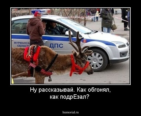 Ну рассказывай. Как обгонял, как подрЕзал?