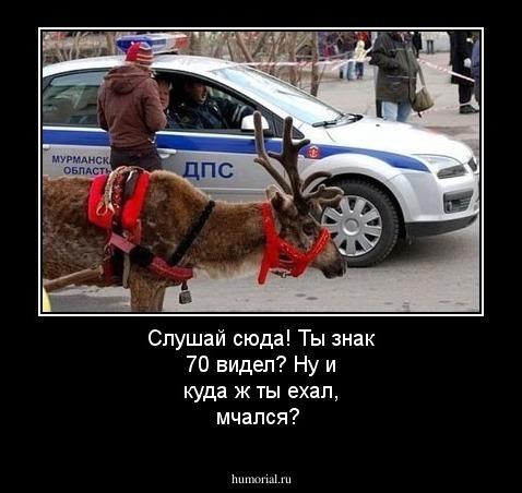 Слушай сюда! Ты знак 70 видел? Ну и куда ж ты ехал, мчался?