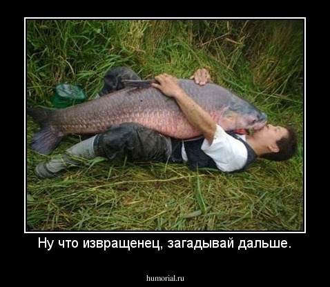 Ну что извращенец, загадывай дальше.