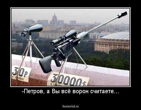 -Петров, а Вы всё ворон считаете...