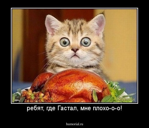ребят, где ''Гастал'', мне плохо-о-о!