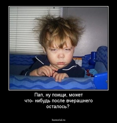 Пап, ну поищи, может что- нибудь после вчерашнего осталось?