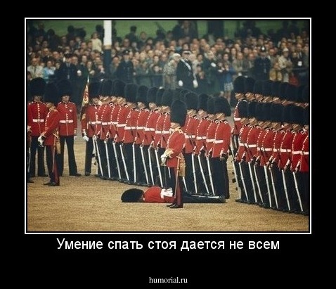 Умение спать стоя дается не всем