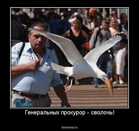 Генеральных прокурор - сволочь!