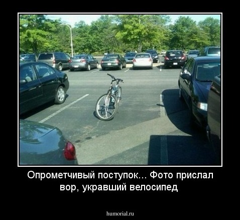 Опрометчивый поступок... Фото прислал вор, укравший велосипед