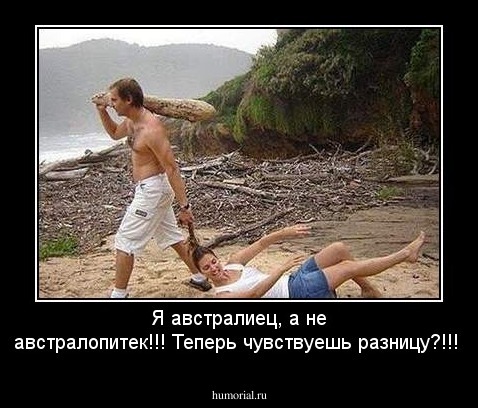 Я австралиец, а не австралопитек!!! Теперь чувствуешь разницу?!!!