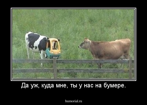 Да уж, куда мне, ты у нас на бумере.