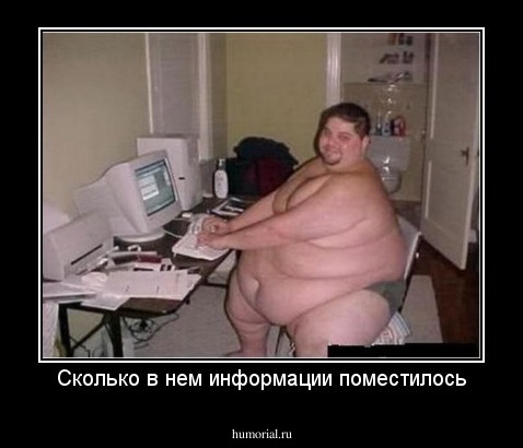 Сколько в нем информации поместилось