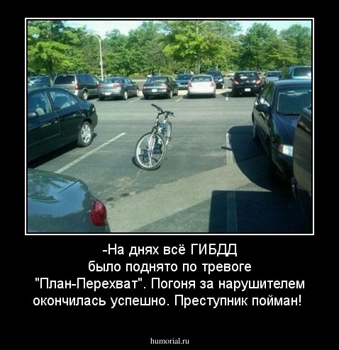 -На днях всё ГИБДД было поднято по тревоге "План-Перехват".  Погоня за нарушителем окончилась успешно. Преступник пойман!