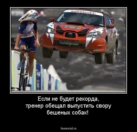 Если не будет рекорда, тренер обещал  выпустить свору бешеных собак!