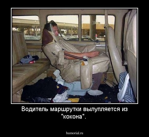 Водитель маршрутки вылупляется из "кокона".