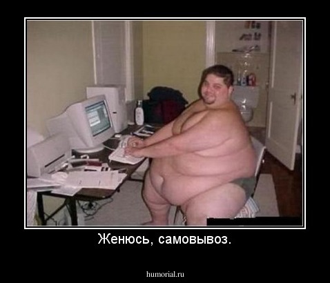 Женюсь, самовывоз.