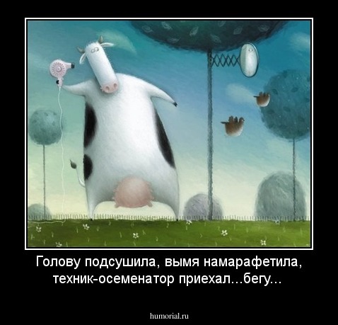 Голову подсушила, вымя намарафетила, техник-осеменатор приехал...бегу...