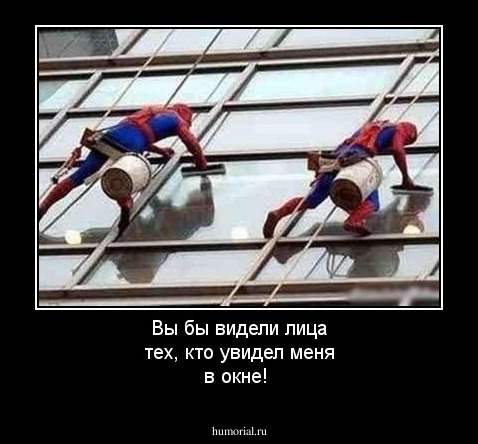 Вы бы видели лица тех, кто увидел меня в окне!