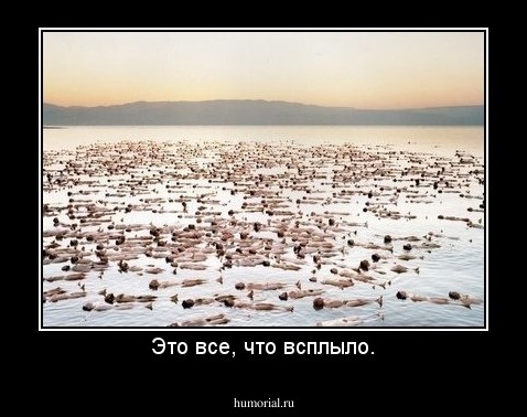 Это все, что всплыло.
