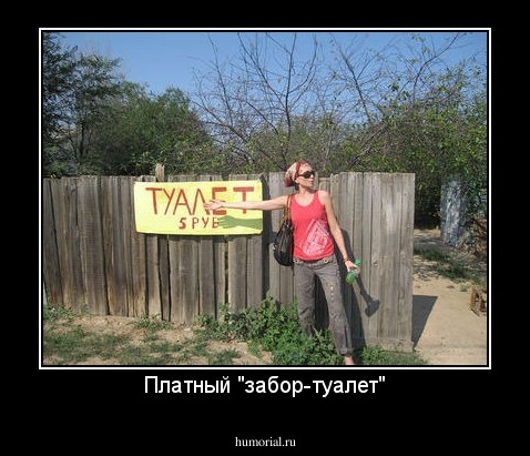 Платный "забор-туалет"