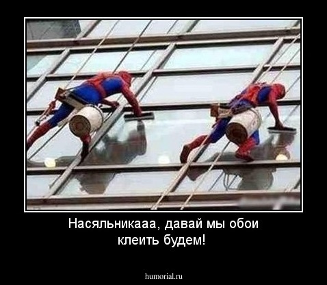 Насяльникааа, давай мы обои клеить будем!