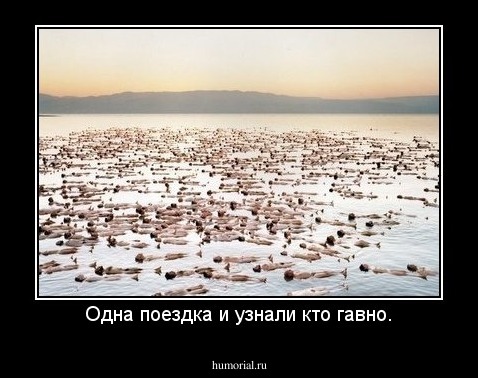 Одна поездка и узнали кто гавно.
