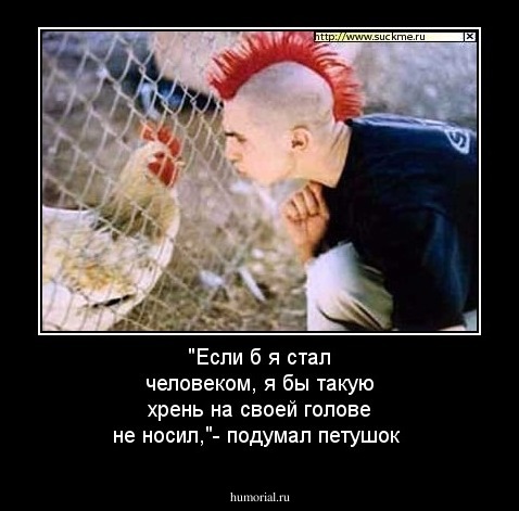 "Если б я стал человеком, я бы такую хрень на своей голове не носил,"- подумал петушок