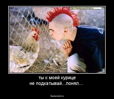 ты к моей курице не подкатывай...понял...