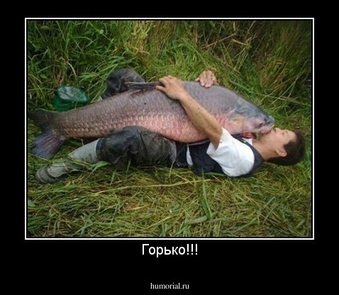 Горько!!!