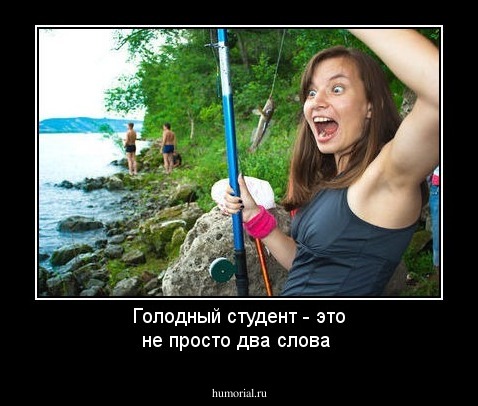 Голодный студент - это не просто два слова