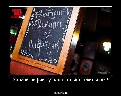 За мой лифчик у вас столько текилы нет!