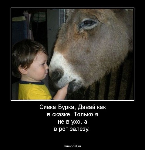 Сивка Бурка, Давай как в сказке. Только я не в ухо, а в рот залезу.
