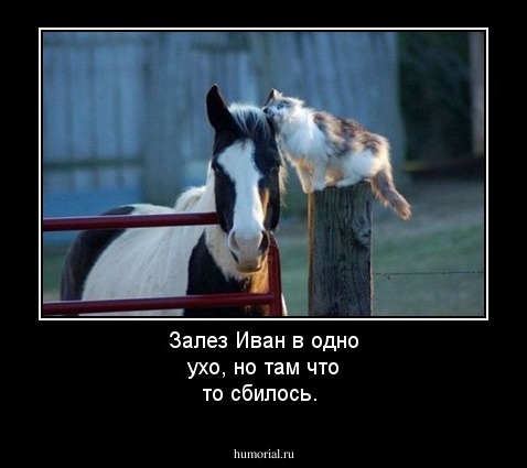 Залез Иван в одно ухо, но там что то сбилось.