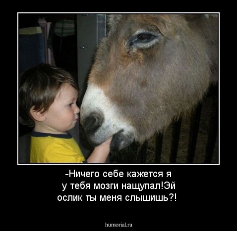 -Ничего себе кажется я у тебя мозги нащупал!Эй ослик ты меня слышишь?!