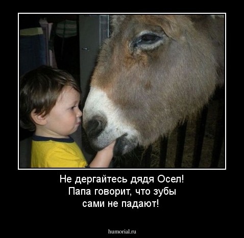 Не дергайтесь дядя Осел! Папа говорит, что зубы сами не падают!