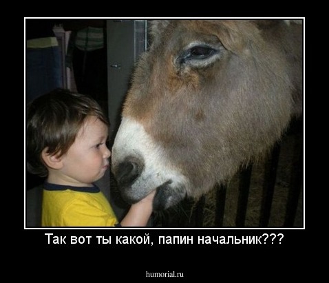 Так вот ты какой, папин начальник???