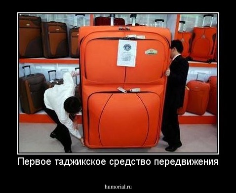 Первое таджикское средство передвижения