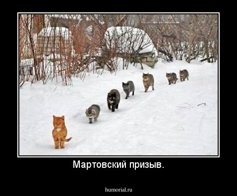 Мартовский призыв.