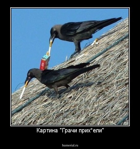 Картина "Грачи прих*ели"