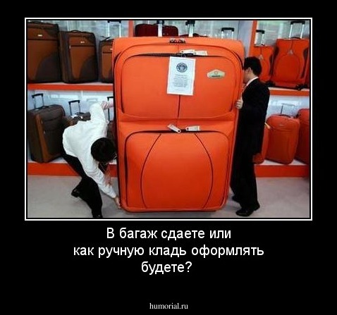В багаж сдаете или как ручную кладь оформлять будете?